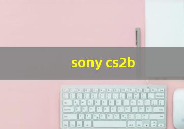 sony cs2b